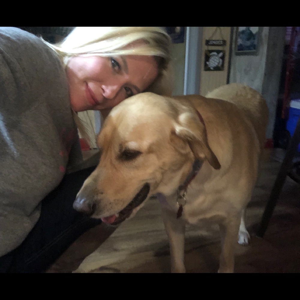 Meet your Posher, Lauren